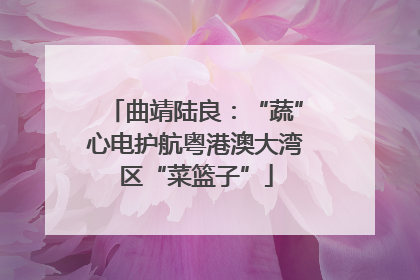 曲靖陆良：“蔬”心电护航粤港澳大湾区“菜篮子”