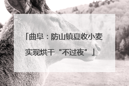 曲阜：防山镇夏收小麦实现烘干“不过夜”