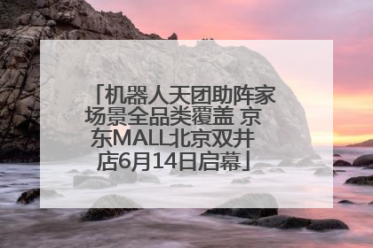 机器人天团助阵家场景全品类覆盖 京东MALL北京双井店6月14日启幕