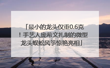 最小的龙头仅重0.6克！手艺人庞希文扎制的微型龙头蜈蚣风筝惊艳亮相