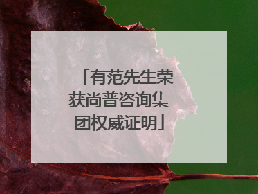 有范先生荣获尚普咨询集团权威证明