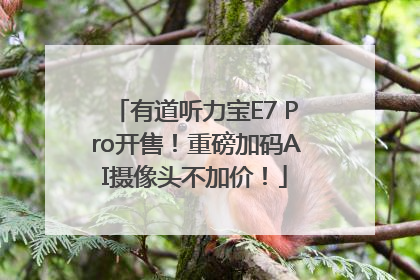 有道听力宝E7 Pro开售！重磅加码AI摄像头不加价！