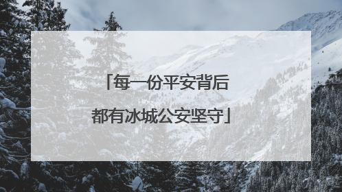 每一份平安背后 都有冰城公安坚守