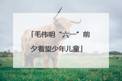 毛伟明“六一”前夕看望少年儿童
