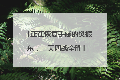 正在恢复手感的樊振东，一天四战全胜