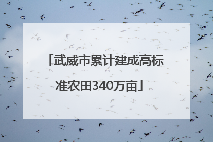 武威市累计建成高标准农田340万亩