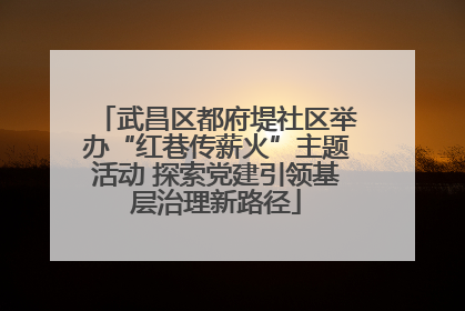 武昌区都府堤社区举办“红巷传薪火”主题活动 探索党建引领基层治理新路径
