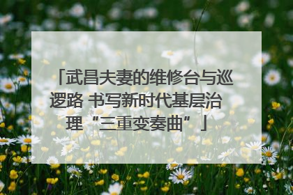 武昌夫妻的维修台与巡逻路 书写新时代基层治理“三重变奏曲”