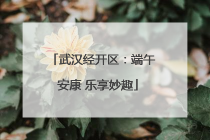 武汉经开区：端午安康 乐享妙趣