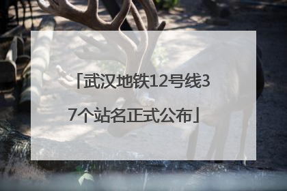 武汉地铁12号线37个站名正式公布