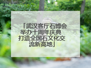 武汉客厅石博会举办十周年庆典 打造全国石文化交流新高地