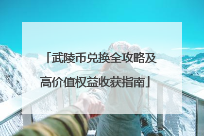 武陵币兑换全攻略及高价值权益收获指南