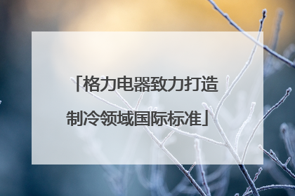 格力电器致力打造制冷领域国际标准