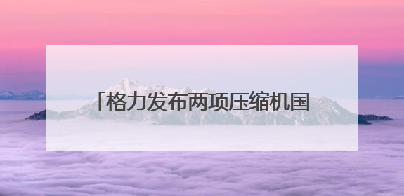 格力发布两项压缩机国际标准，董明珠发声