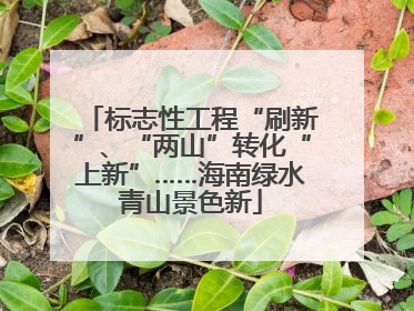 标志性工程“刷新”、“两山”转化“上新”……海南绿水青山景色新