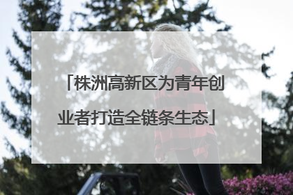 株洲高新区为青年创业者打造全链条生态