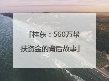 桂东：560万帮扶资金的背后故事