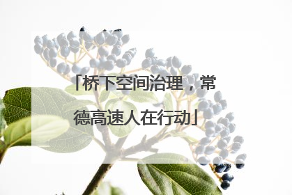 桥下空间治理，常德高速人在行动