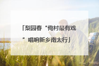梨园春“俺村最有戏”唱响新乡南太行