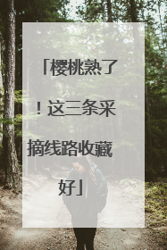 樱桃熟了！这三条采摘线路收藏好