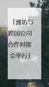 潍坊与跨国公司合作对接会举行