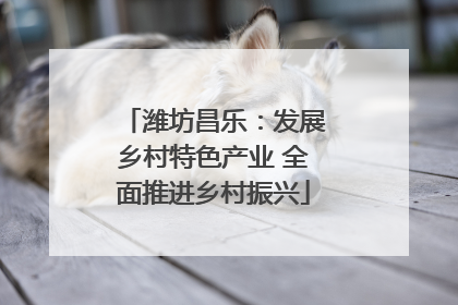 潍坊昌乐：发展乡村特色产业 全面推进乡村振兴