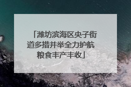 潍坊滨海区央子街道多措并举全力护航粮食丰产丰收