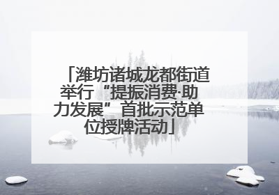 潍坊诸城龙都街道举行“提振消费·助力发展”首批示范单位授牌活动