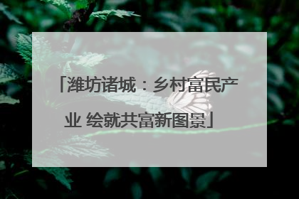 潍坊诸城：乡村富民产业 绘就共富新图景