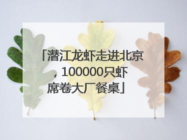 潜江龙虾走进北京，100000只虾席卷大厂餐桌