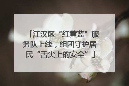 江汉区“红黄蓝”服务队上线，组团守护居民“舌尖上的安全”
