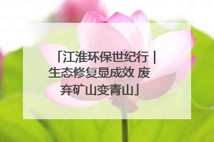 江淮环保世纪行｜生态修复显成效 废弃矿山变青山