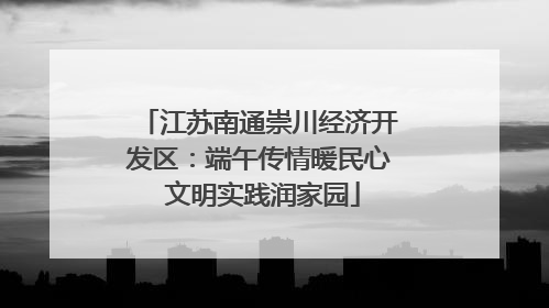 江苏南通崇川经济开发区：端午传情暖民心 文明实践润家园