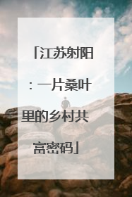 江苏射阳：一片桑叶里的乡村共富密码