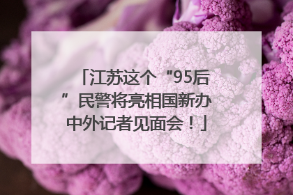 江苏这个“95后”民警将亮相国新办中外记者见面会！