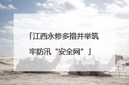 江西永修多措并举筑牢防汛“安全网”