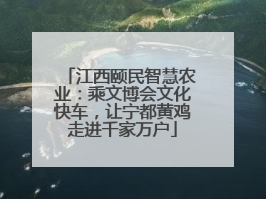 江西颐民智慧农业：乘文博会文化快车，让宁都黄鸡走进千家万户