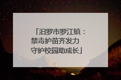 汨罗市罗江镇：禁毒护苗齐发力 守护校园助成长