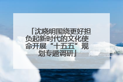 沈晓明围绕更好担负起新时代的文化使命开展“十五五”规划专题调研