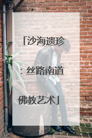 沙海遗珍：丝路南道佛教艺术