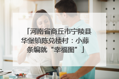 河南省商丘市宁陵县华堡镇陈兑楼村：小藤条编就“幸福图”