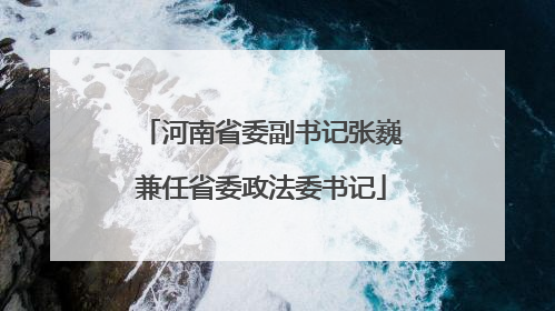 河南省委副书记张巍兼任省委政法委书记