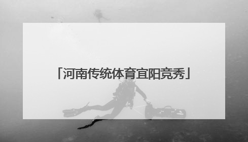 河南传统体育宜阳竞秀