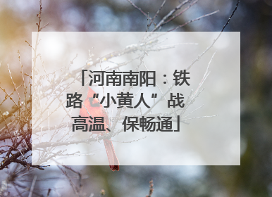 河南南阳：铁路“小黄人”战高温、保畅通