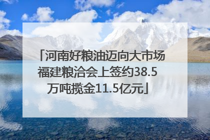 河南好粮油迈向大市场 福建粮洽会上签约38.5万吨揽金11.5亿元