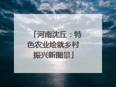 河南沈丘：特色农业绘就乡村振兴新图景