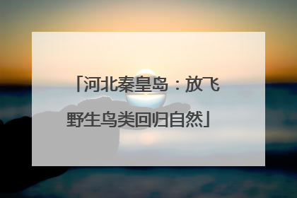 河北秦皇岛：放飞野生鸟类回归自然