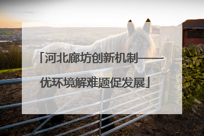 河北廊坊创新机制——优环境解难题促发展