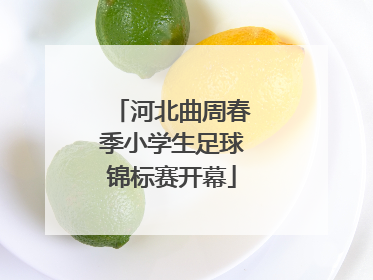 河北曲周春季小学生足球锦标赛开幕