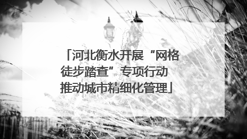 河北衡水开展“网格徒步踏查”专项行动 推动城市精细化管理